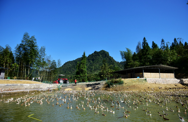 1640576254106933.png 1.png